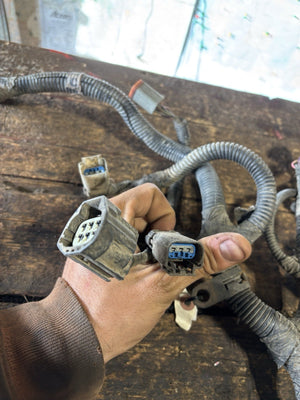 2004 DODGE RAM 5.9L CUMMINS ENGINE WIRING HARNESS 3969687