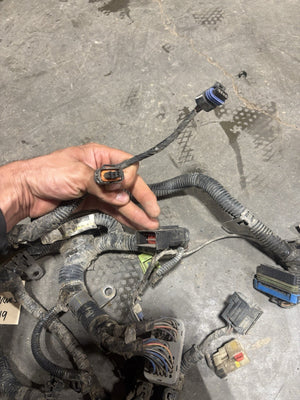 2006 2007 DODGE RAM 5.9L CUMMINS FULL ENGINE WIRING HARNESS 4931851 4939019