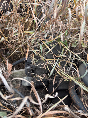 2000-2002 RAM 2500/3500 DANA 60 FRONT DIFF 410 GEARS 225KMS, HAS CAD