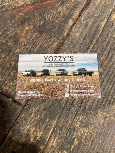 1989-1993 DODGE RAM 150 250 350 CUMMINS DRIVER SIDE WINDOW &amp; LOCK COVER BEZEL