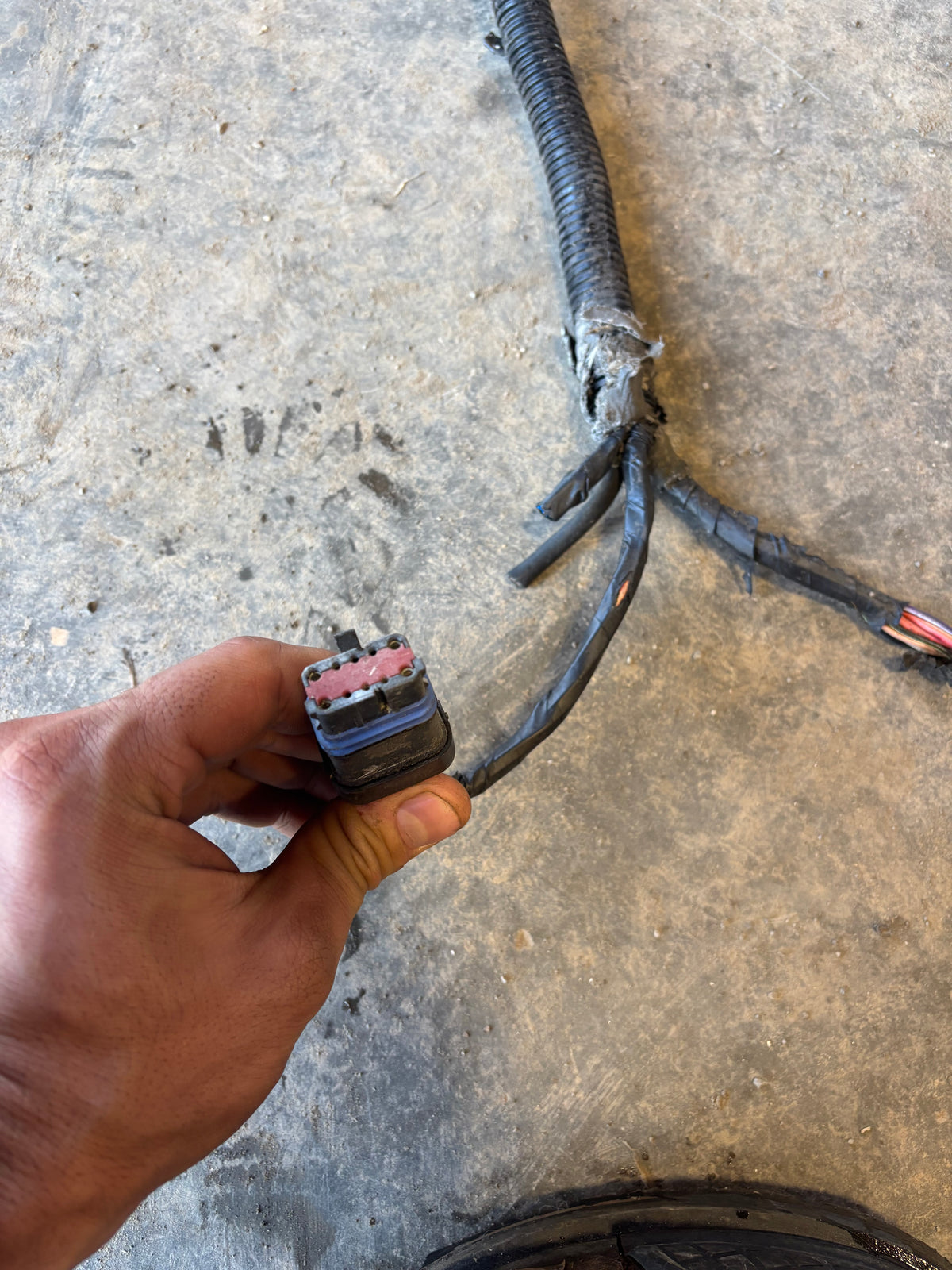 91 Dodge Ram Intercooled Cummins Engine Bay Wiring Harness