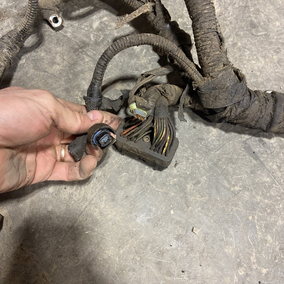 1998 .5 DODGE RAM 2500 3500 24V CUMMINS ENGINE HARNESS