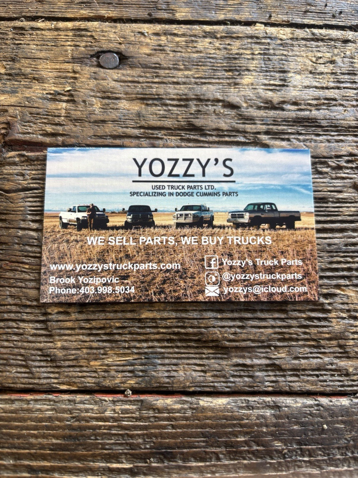 1989 - 2004 DODGE RAM CUMMINS GETRAG NV4500 NV5600 FLYWHEEL BOLTS SET OEM