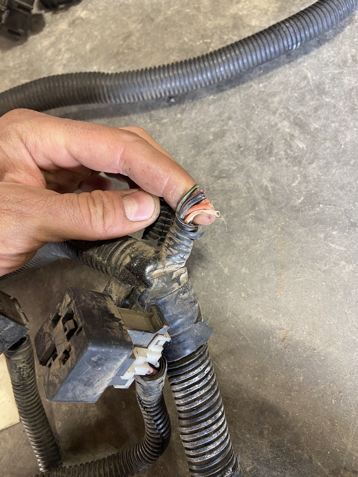 1996 DODGE RAM 2500 3500 CUMMINS 5SPD 2WD ENGINE HARNESS 56011501AF CUT SECTION*