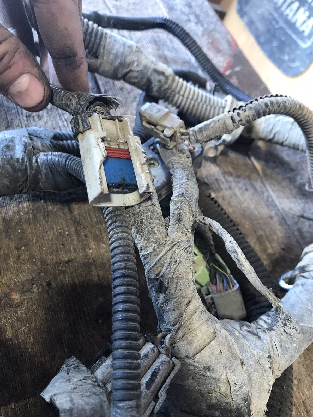 2002 DODGE RAM 2500 3500 CUMMINS MANUAL COMPLETE ENGINE WIRING HARNESS 3949898