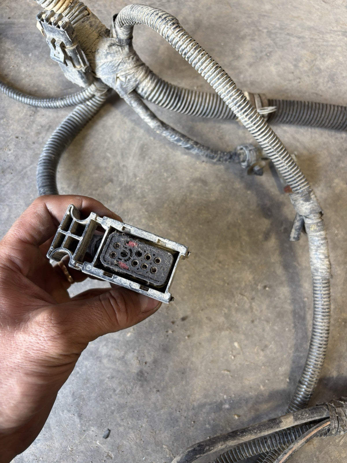 2000 Early 2001 DODGE RAM 2500 3500 CUMMINS 24V ENGINE HARNESS  With Cranksensor