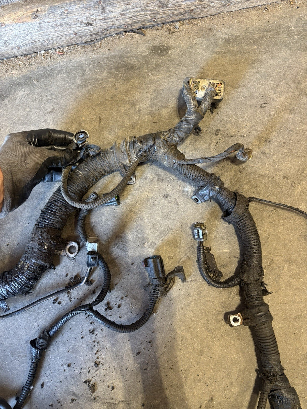 1999 DODGE RAM CUMMINS 5.9L 24V ENGINE WIRING HARNESS 03944847