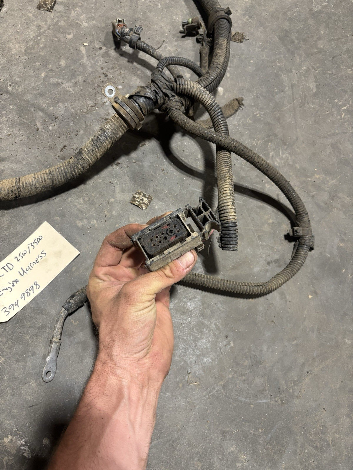 2002 DODGE RAM 2500 3500 CUMMINS MANUAL COMPLETE ENGINE WIRING HARNESS 3949898