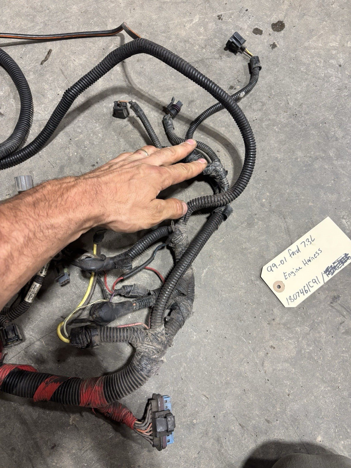 1999 - 2001 FORD 7.3L DIESEL ENGINE HARNESS 1807461C91