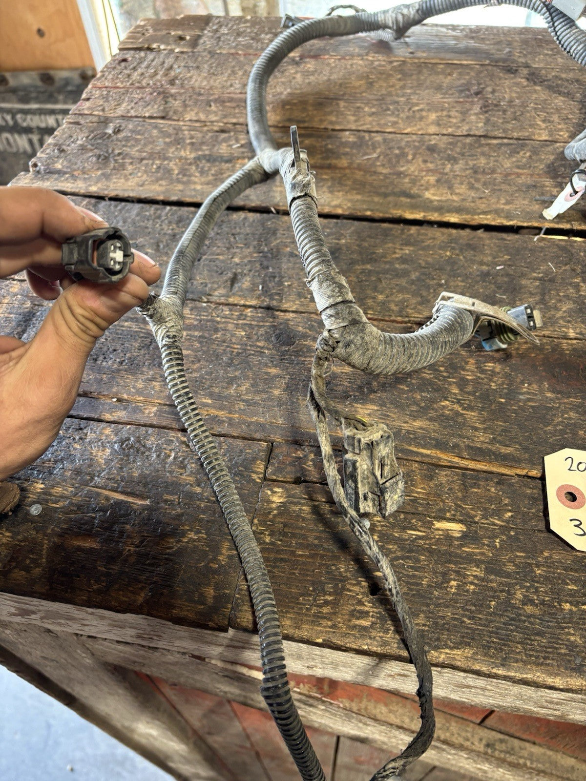 2004 DODGE RAM 5.9L CUMMINS ENGINE WIRING HARNESS 3969687