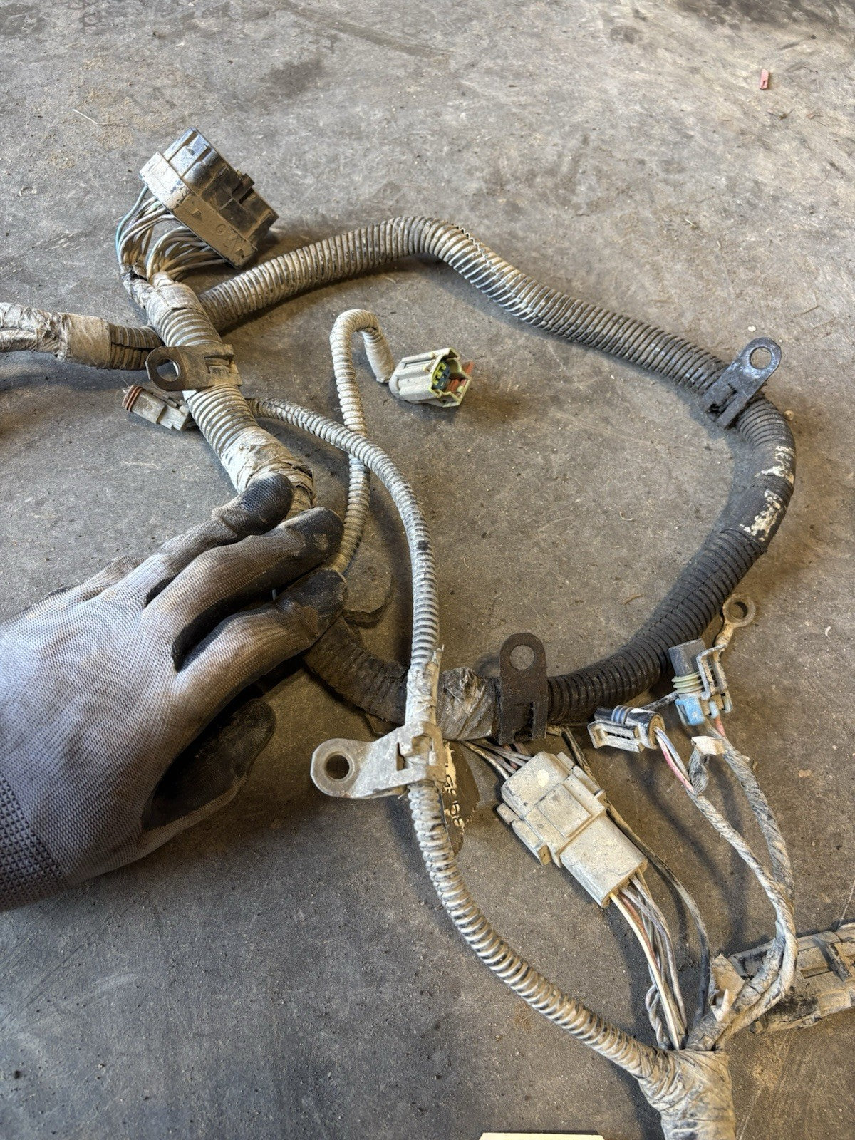 Early 2004 DODGE RAM CUMMINS ENGINE WIRING HARNESS PN 3965109