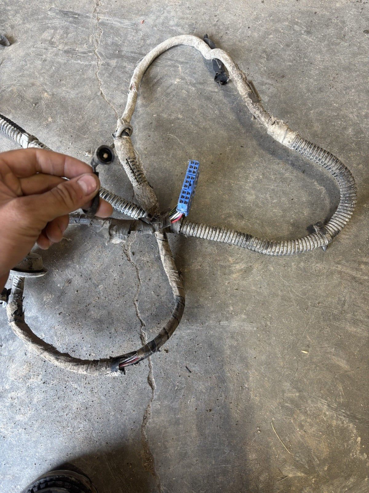 1991 DODGE RAM 250 350 CUMMINS REGULAR CAB LONG BED FRAME CHASSIS WIRING HARNESS