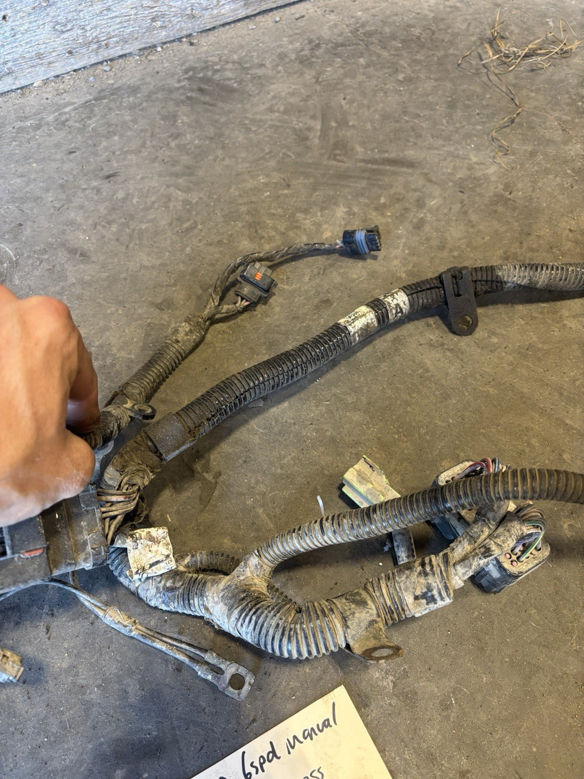 2004 .5 2005 DODGE RAM CUMMINS 6SPD MANUAL FULL ENGINE HARNESS 3969689 3969688