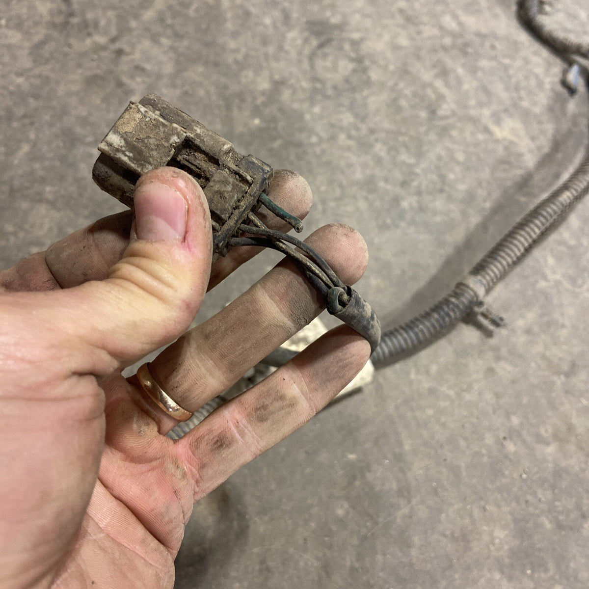 1998 DODGE RAM 2500 3500 V10 / CUMMINS EXT CAB SHORTBOX FRAME HARNESS 56020492AC