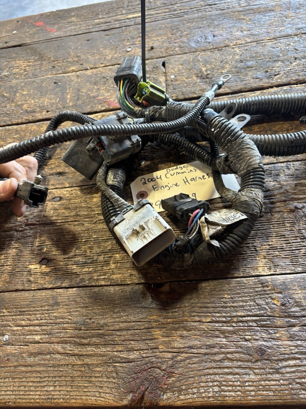 2004 DODGE RAM CUMMINS ENGINE WIRING HARNESS PN 3693769