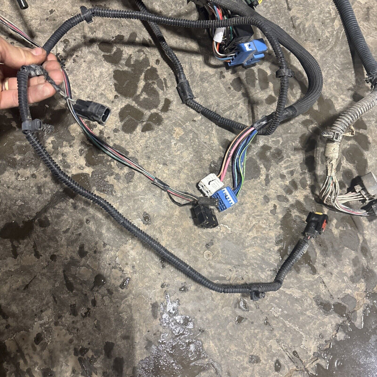 2000 DODGE RAM 2500 SPORT DUAL BULB ENGINE BAY WIRING HARNESS 56045266af