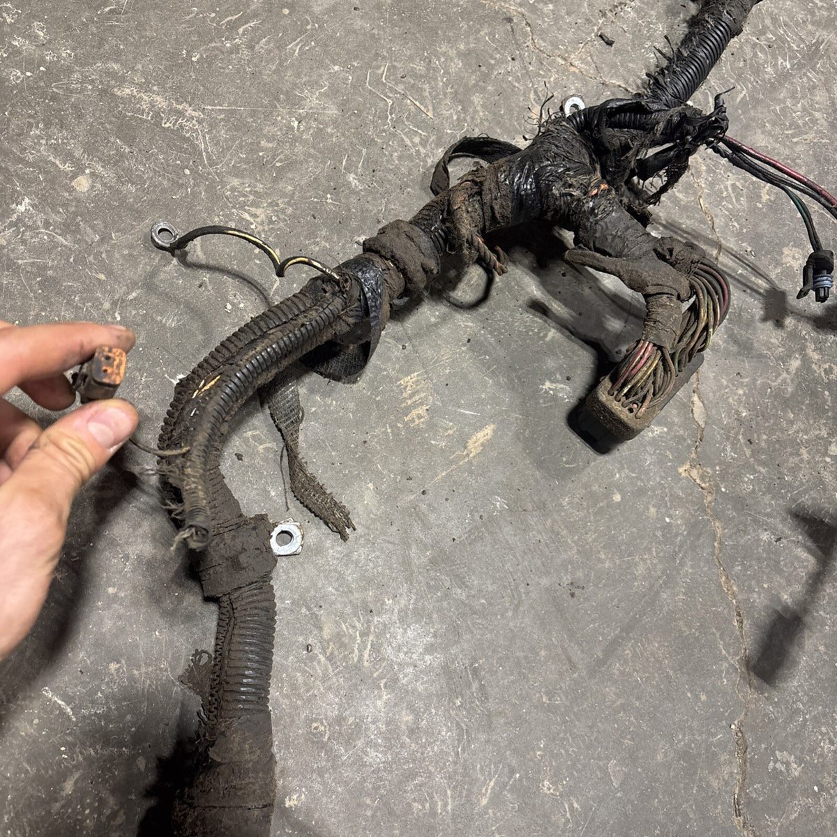 2000 .5 2001 DODGE RAM 2500 3500 5.924v CUMMINS 5SPD 6SPD ENGINE HARNESS 3946666