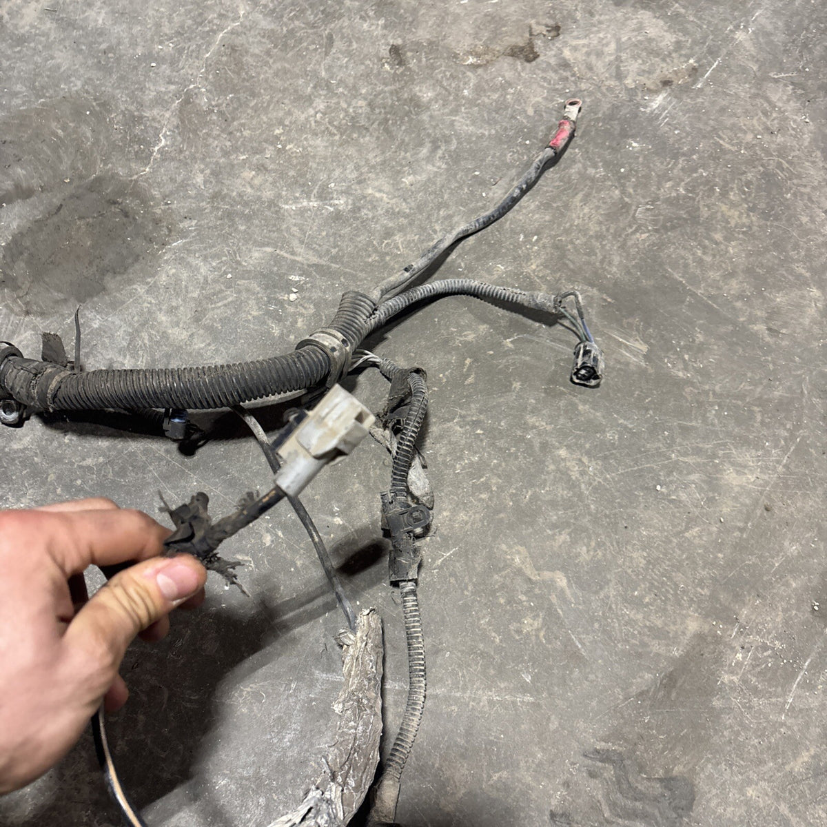 2000 .5 2001 DODGE RAM 2500 3500 5.924v CUMMINS 5SPD 6SPD ENGINE HARNESS 3946666