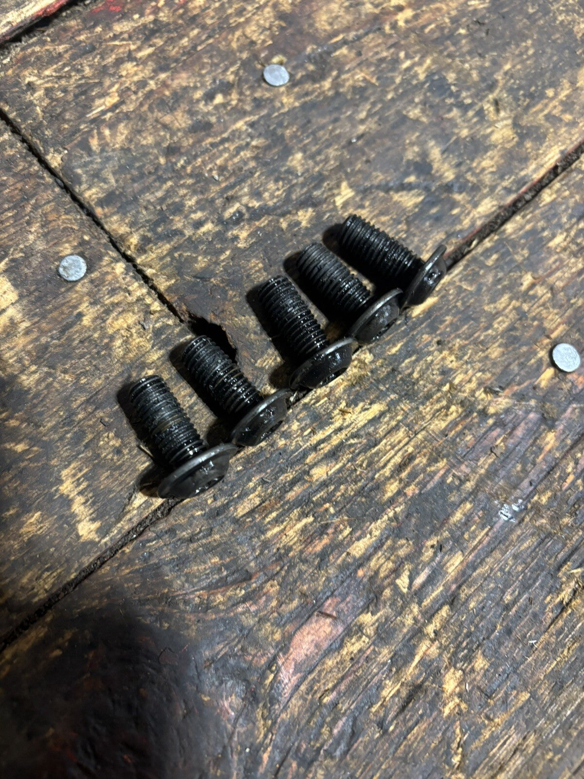 1998.5 -2002 DODGE RAM 2500 3500 24V CUMMINS TIMING CASE TO BLOCK TORX BOLTS OEM