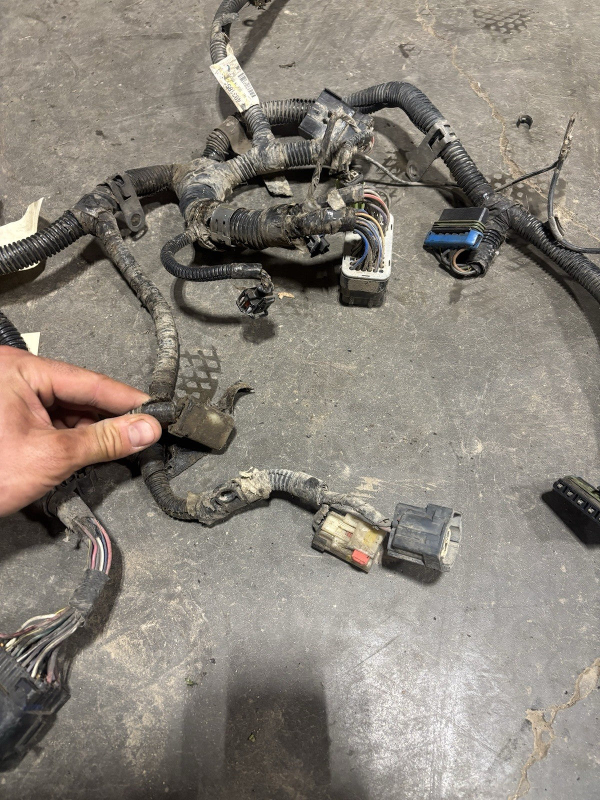 2006 2007 DODGE RAM 5.9L CUMMINS FULL ENGINE WIRING HARNESS 4931851 4939019