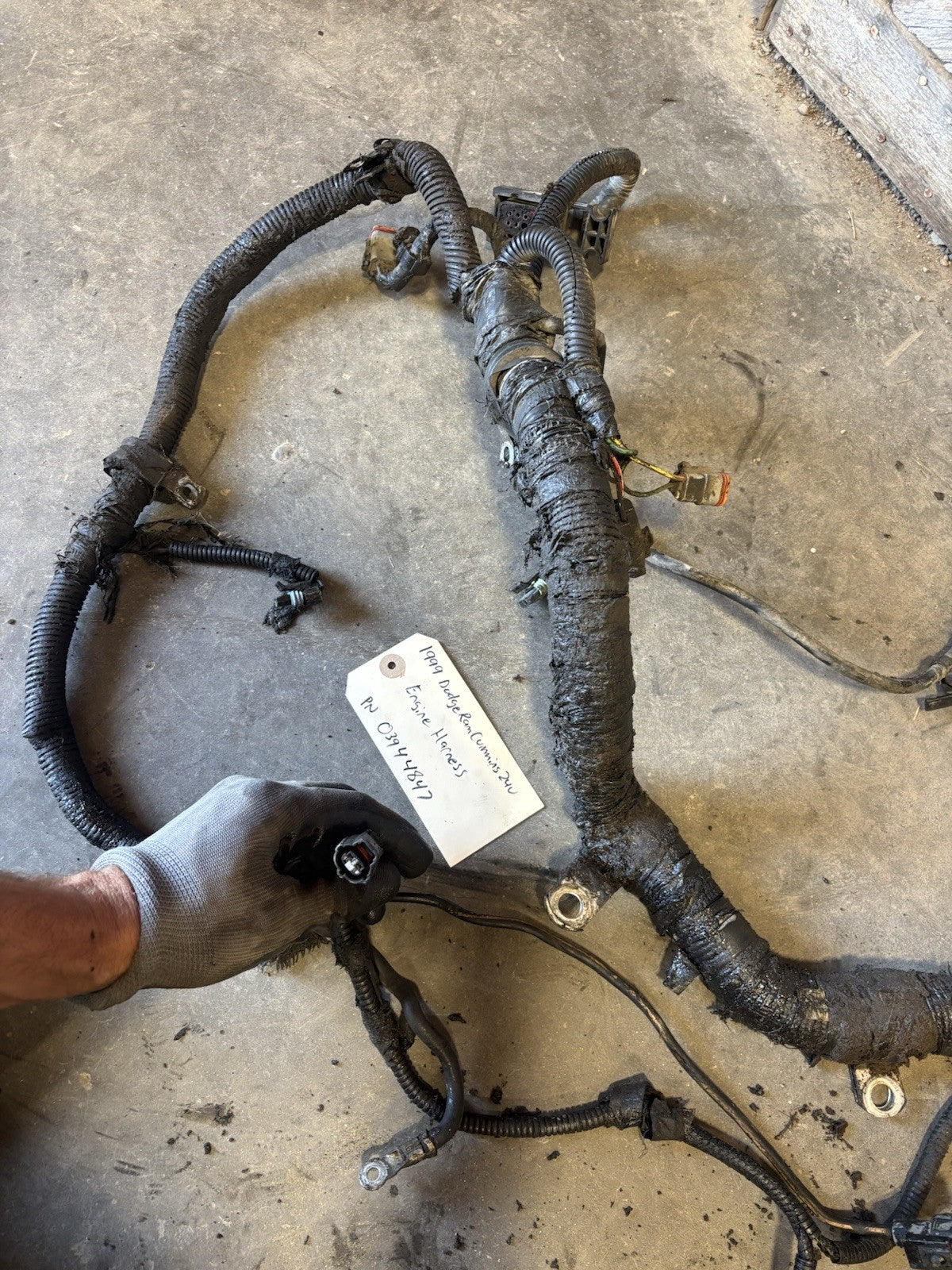 1999 DODGE RAM CUMMINS 5.9L 24V ENGINE WIRING HARNESS 03944847