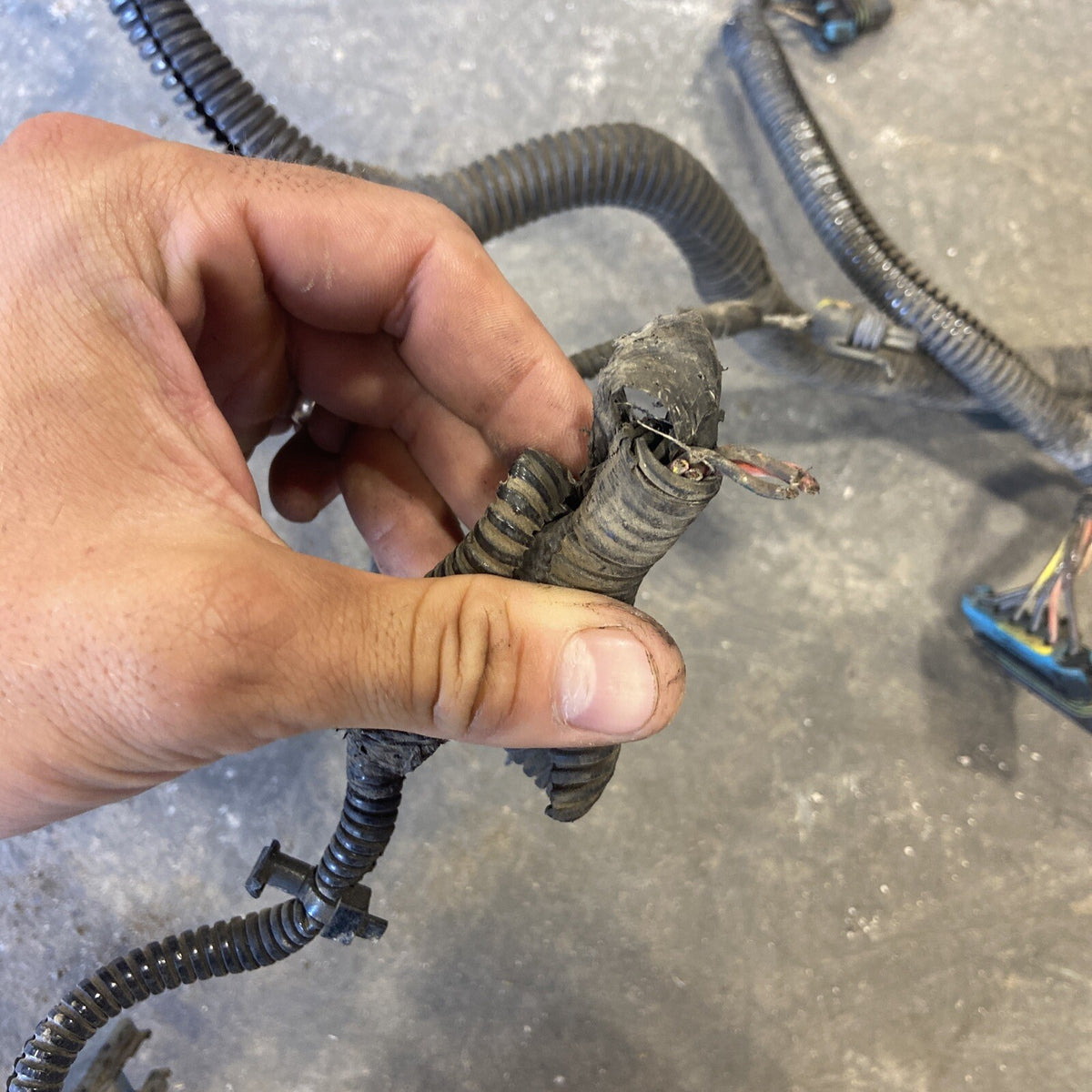 2008 DODGE RAM 2500 3500 6.7L ENGINE HARNESS AUTO TRANS 4980108 4946174 Cut Plug