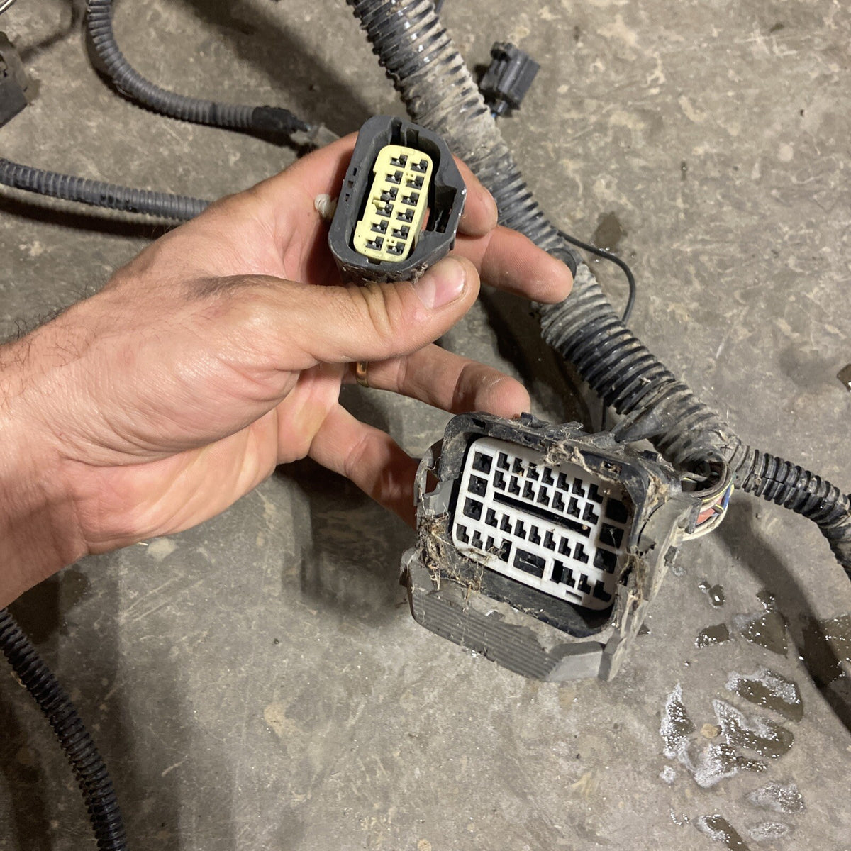 2006 DODGE RAM 2500 3500 CUMMINS ENGINE BAY WIRING HARNESS 56051330AD