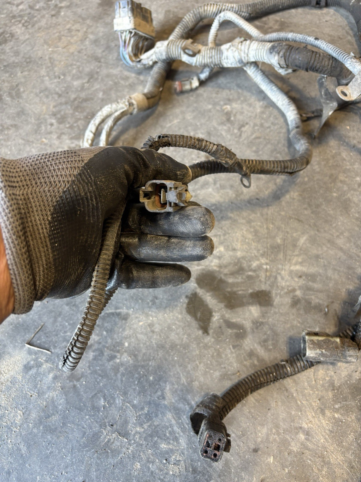 Early 2004 DODGE RAM CUMMINS ENGINE WIRING HARNESS PN 3965109