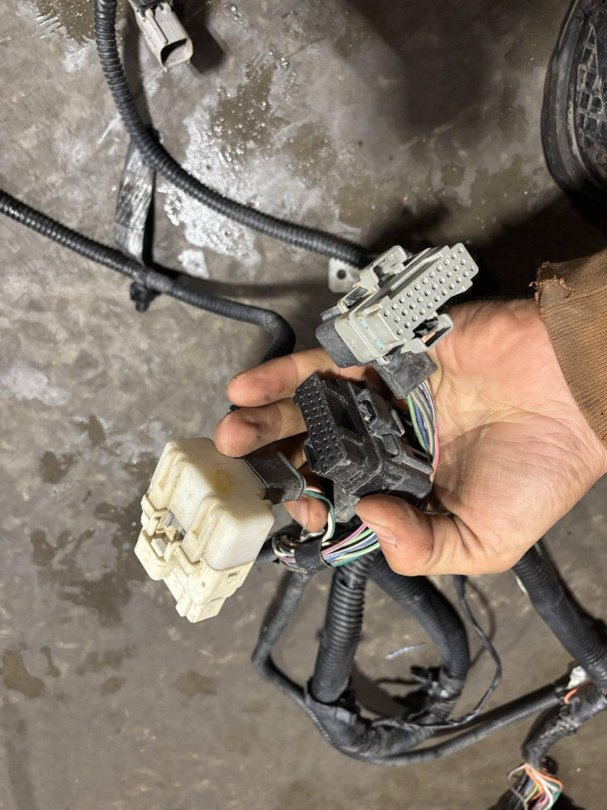 2002 DODGE RAM 2500 3500 CUMMINS MANUAL ENGINE WIRING HARNESS 3949898 56045904ac