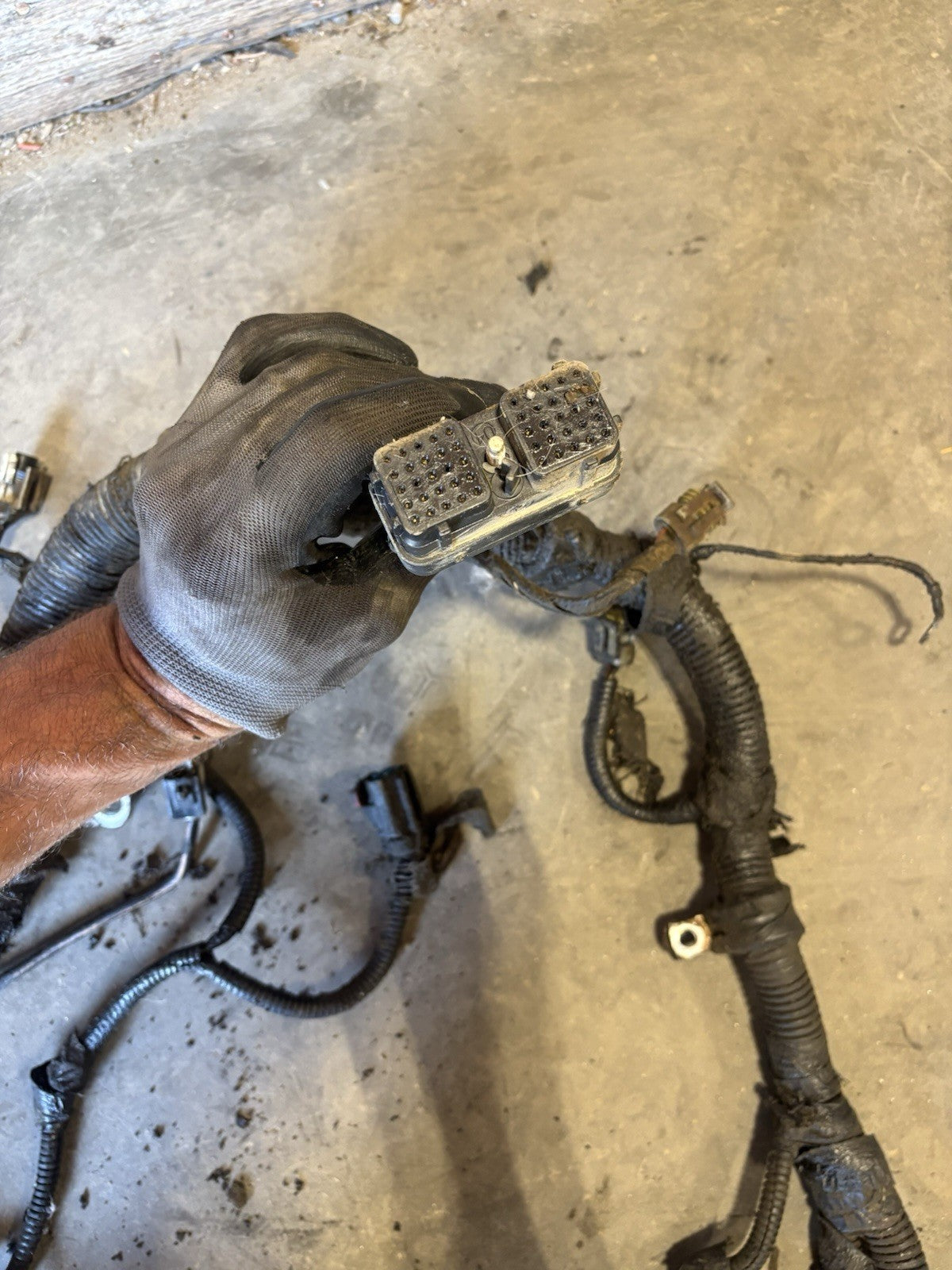 1999 DODGE RAM CUMMINS 5.9L 24V ENGINE WIRING HARNESS 03944847