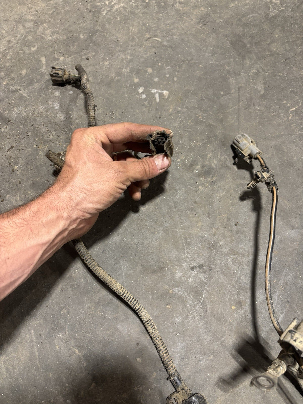 2002 DODGE RAM 2500 3500 CUMMINS MANUAL COMPLETE ENGINE WIRING HARNESS 3949898