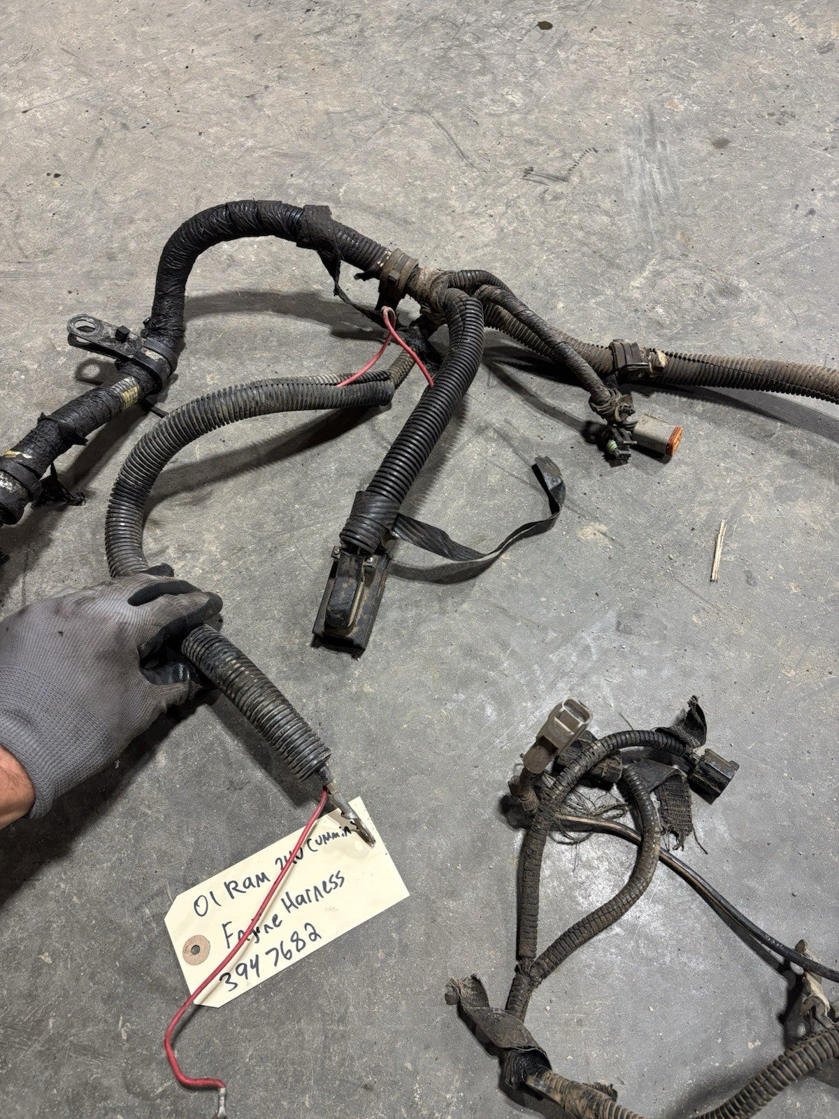 2001 DODGE RAM 2500 3500 24v 5.9l CUMMINS ENGINE HARNESS Pn 3947682