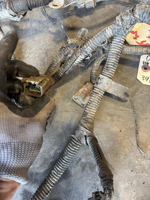 Early 2004 DODGE RAM CUMMINS ENGINE WIRING HARNESS PN 3965109