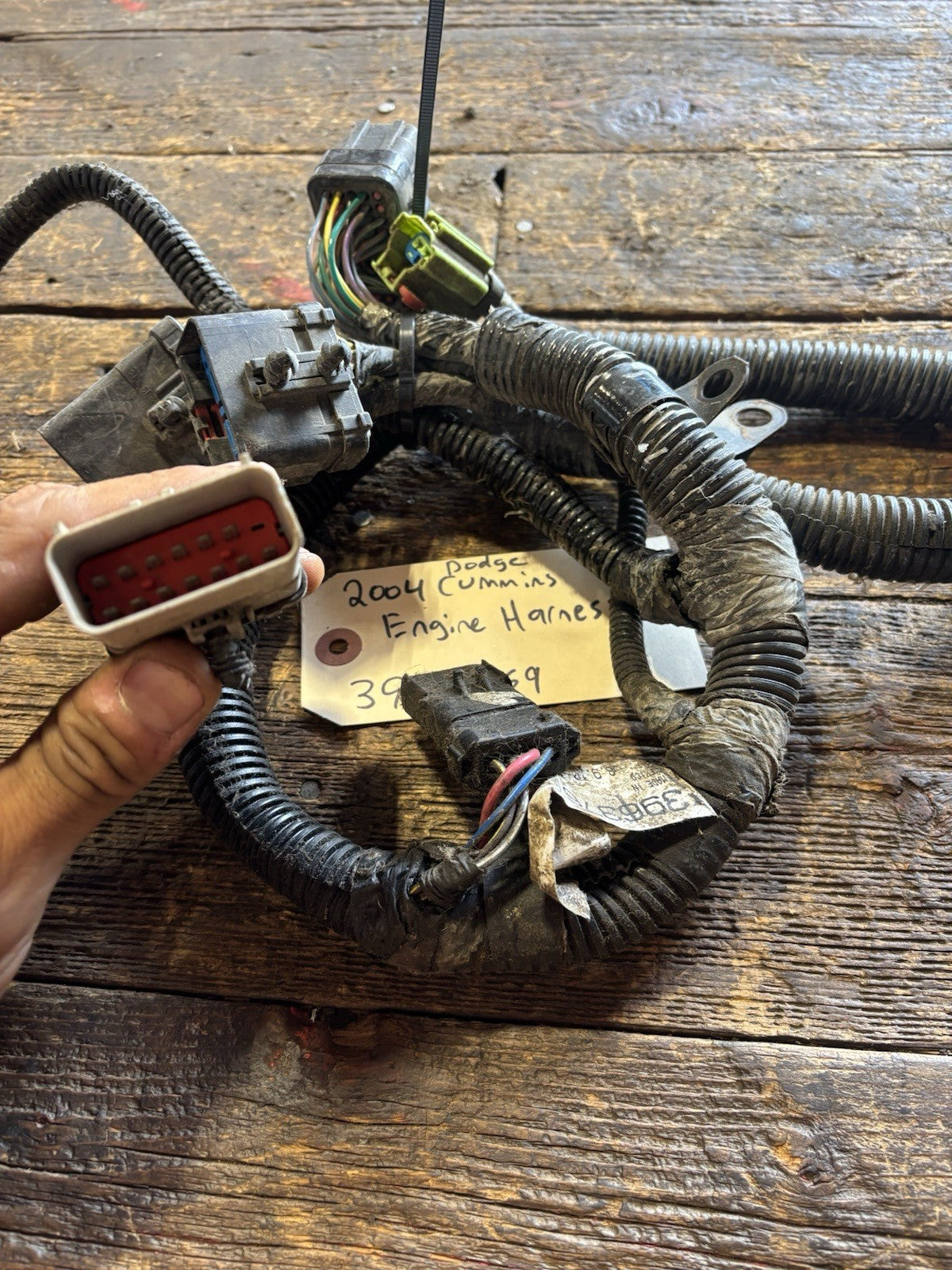 2004 DODGE RAM CUMMINS ENGINE WIRING HARNESS PN 3693769