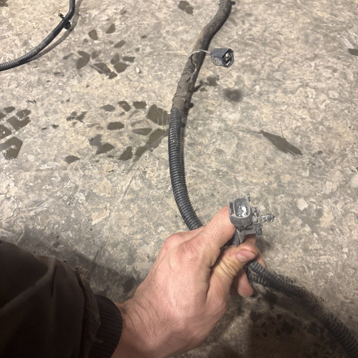 2000 DODGE RAM 2500 SPORT DUAL BULB ENGINE BAY WIRING HARNESS 56045266af