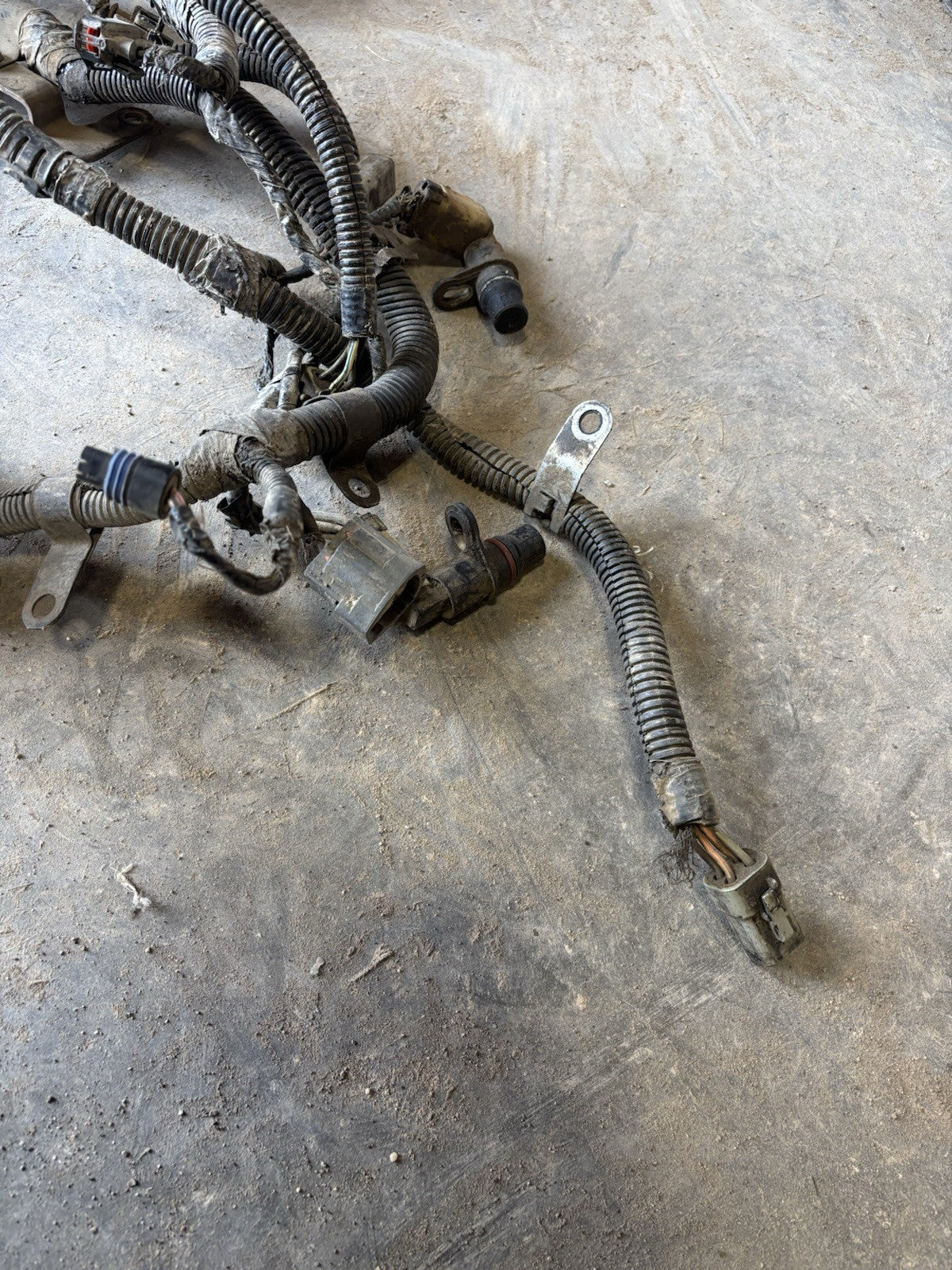 2004 .5 2005 DODGE RAM CUMMINS 6SPD MANUAL FULL ENGINE HARNESS 3969689 3969688