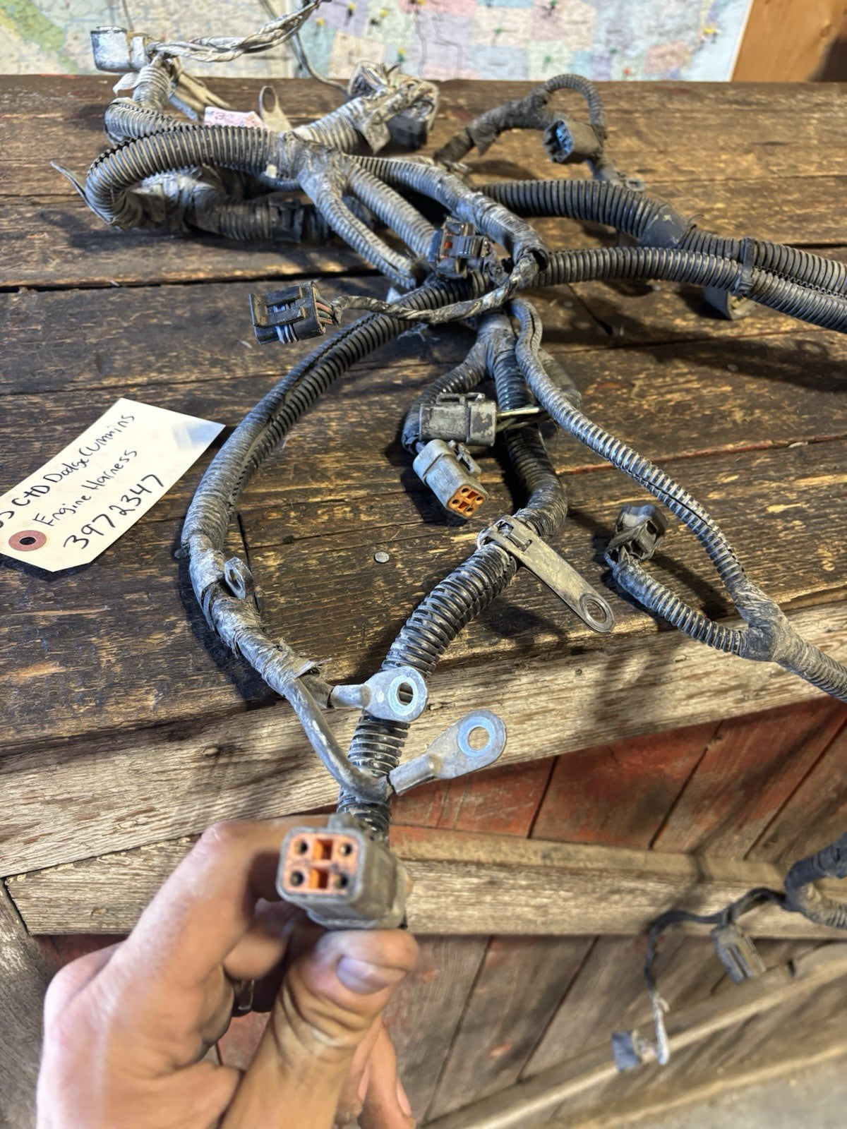 2005 DODGE RAM CUMMINS ENGINE WIRING HARNESS 3972347