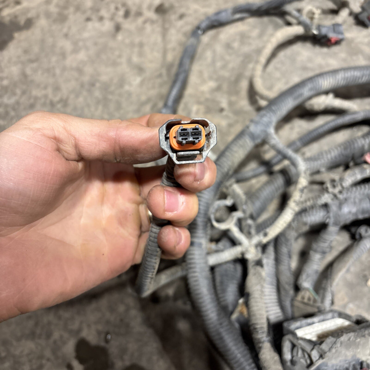 2007 2008 DODGE RAM 1500 CHASSIS FRAME HARNESS 56055248ae 4dr Shortbox