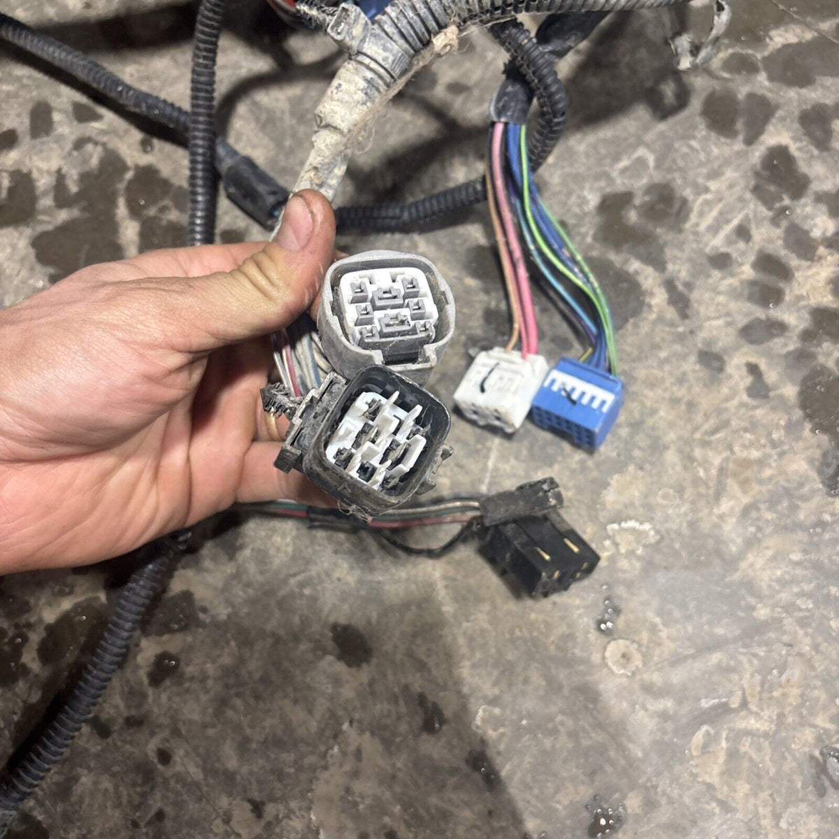 2000 DODGE RAM 2500 SPORT DUAL BULB ENGINE BAY WIRING HARNESS 56045266af