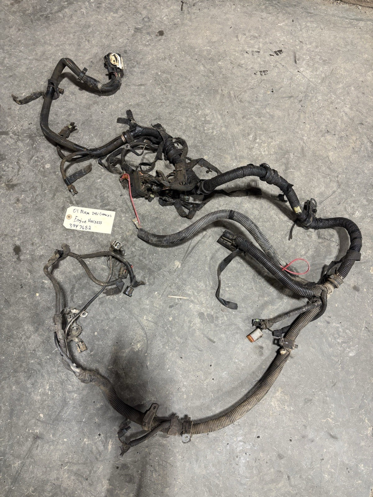 2001 DODGE RAM 2500 3500 24v 5.9l CUMMINS ENGINE HARNESS Pn 3947682