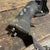 1998-2002 DODGE RAM 2500 3500 CUMMINS TRANSMISSION HEAT EXCHANGER COOLER