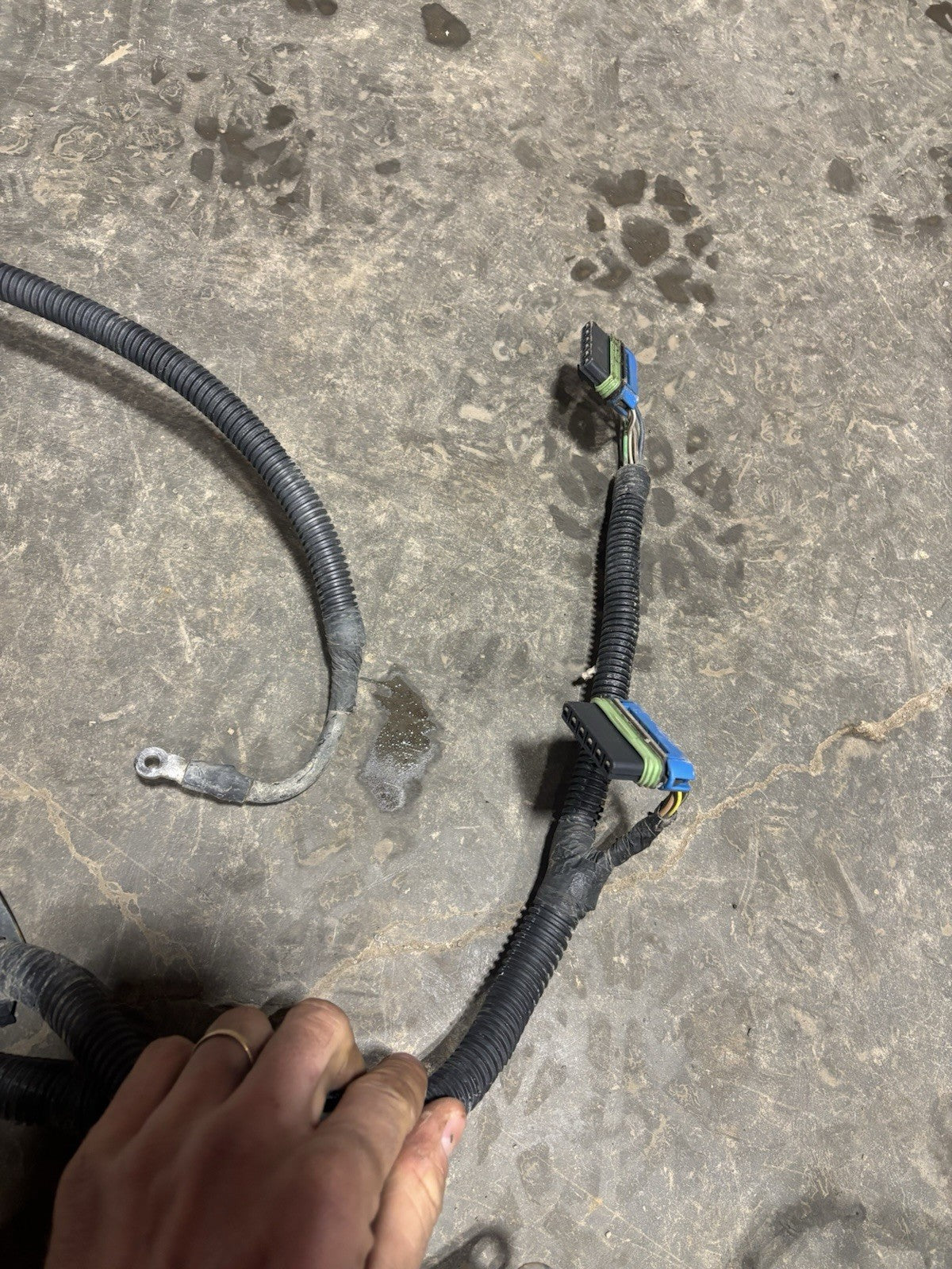 2007 .5 DODGE RAM 6.7L AUTOMATIC COMPLETE ENGINE HARNESS PN 4946123 4945369