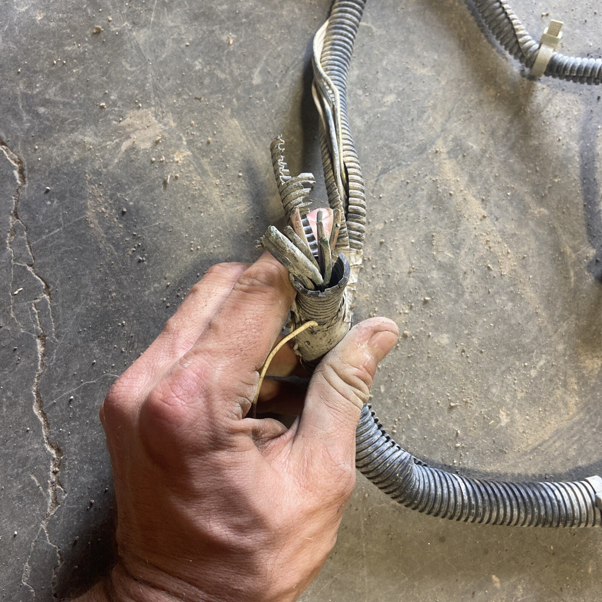 2001 2002 Dodge Ram 2500/3500 Frame Wiring Harness Ext SB Or Ext Lb 56045518AD