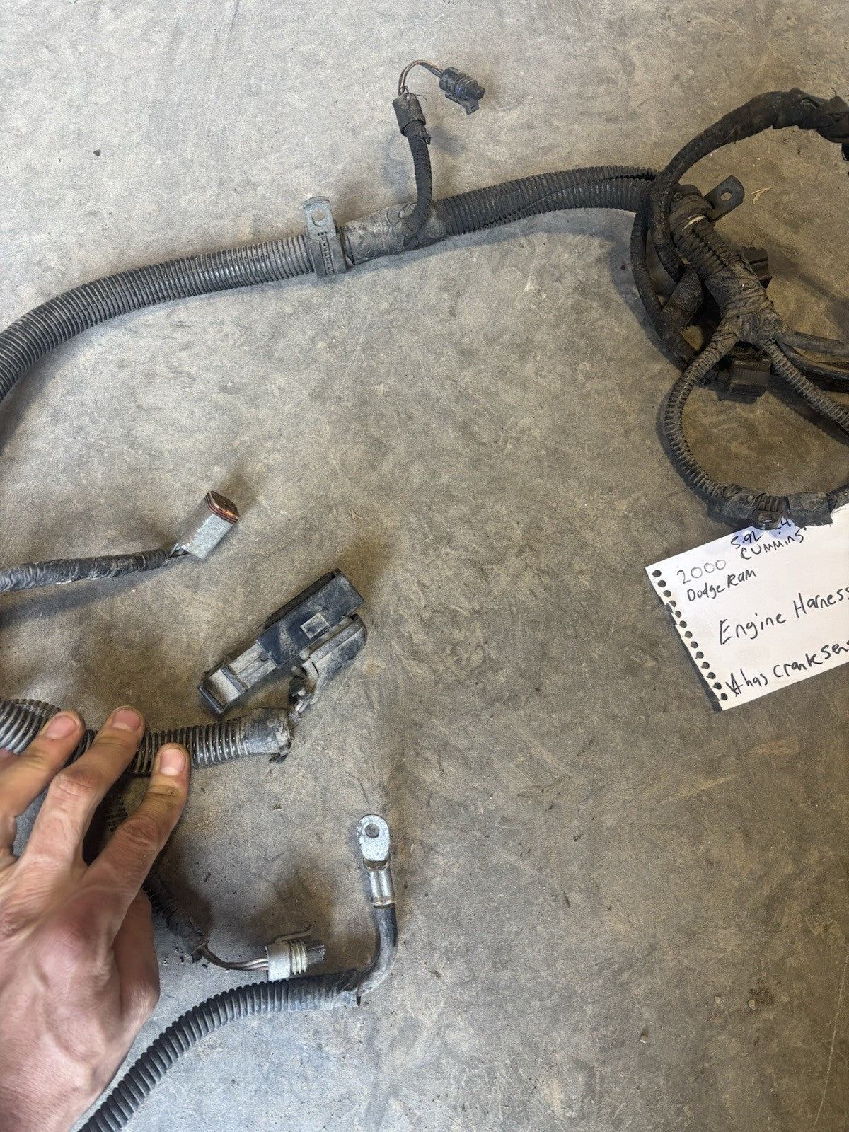 2000 Early 2001 DODGE RAM 2500 3500 CUMMINS 24V ENGINE HARNESS  With Cranksensor