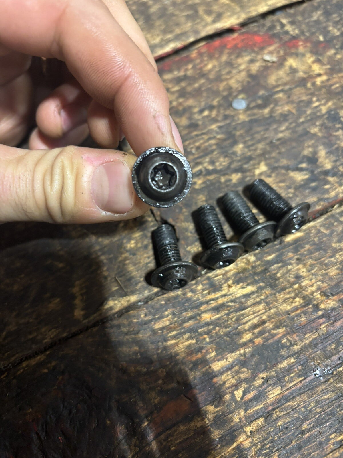 1998.5 -2002 DODGE RAM 2500 3500 24V CUMMINS TIMING CASE TO BLOCK TORX BOLTS OEM