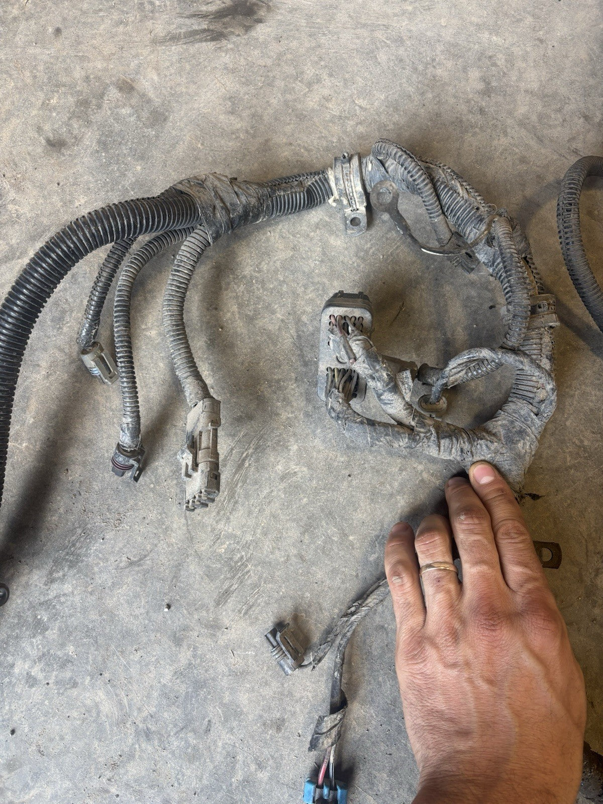 2000 Early 2001 DODGE RAM 2500 3500 CUMMINS 24V ENGINE HARNESS  With Cranksensor