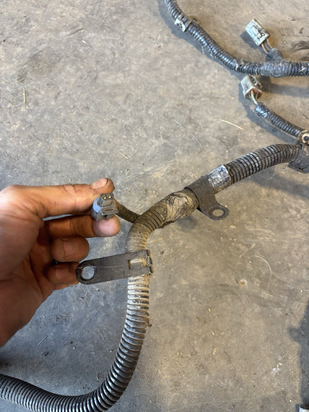 2004 .5 2005 DODGE RAM CUMMINS 6SPD MANUAL FULL ENGINE HARNESS 3969689 3969688