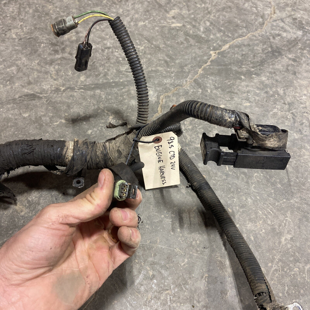 1998 .5 DODGE RAM 2500 3500 24V CUMMINS ENGINE HARNESS
