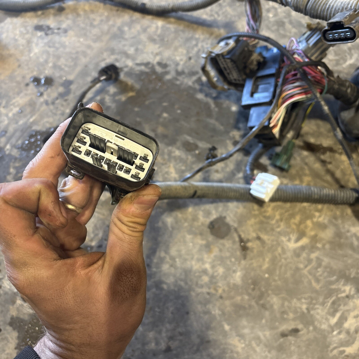 2008 DODGE RAM 2500 3500 6.7L CUMMINS 6spd G56 ENGINE BAY HARNESS 68035301ac