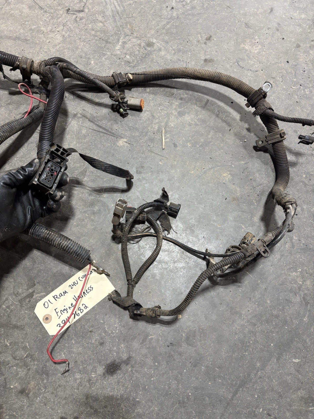 2001 DODGE RAM 2500 3500 24v 5.9l CUMMINS ENGINE HARNESS Pn 3947682